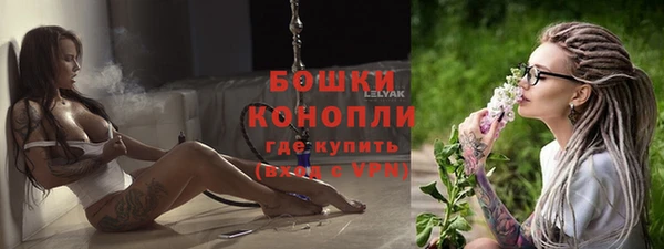 крисы Богданович