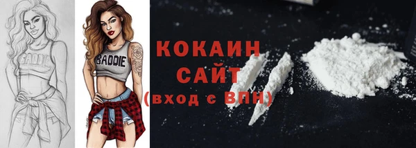 молекула духа Богородицк