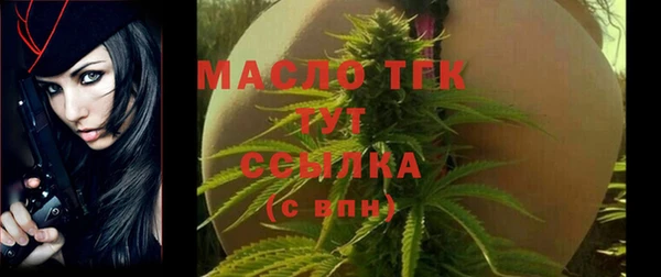 молекула духа Богородицк