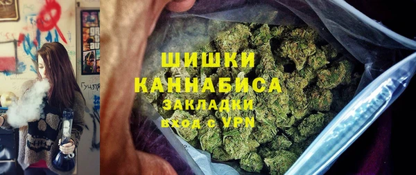 молекула духа Богородицк