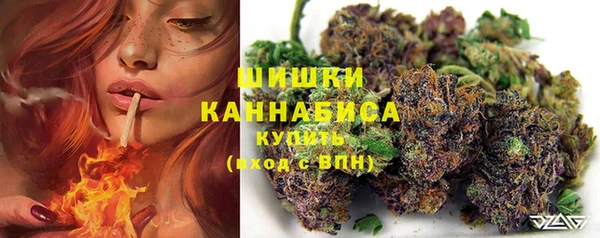 стафф Богородск
