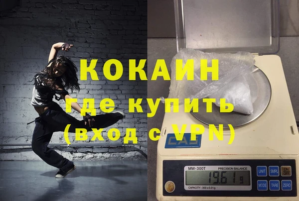 молекула духа Богородицк