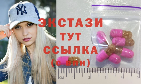молекула духа Богородицк