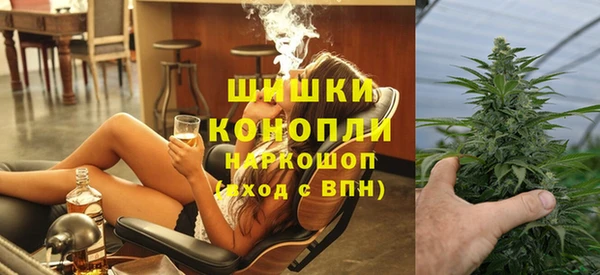 молекула духа Богородицк