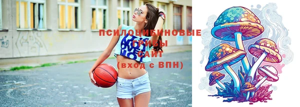 крисы Богданович