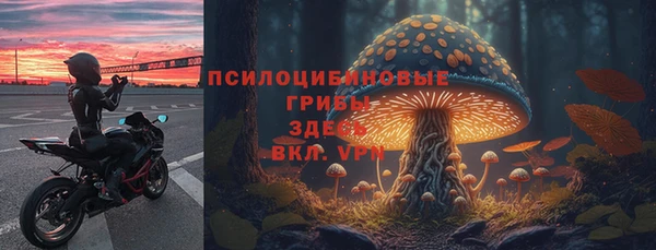 стафф Богородск