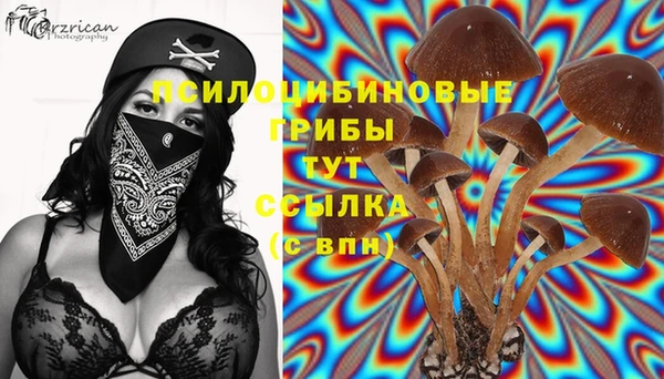 крисы Богданович