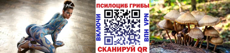 Галлюциногенные грибы MAGIC MUSHROOMS  Городовиковск 