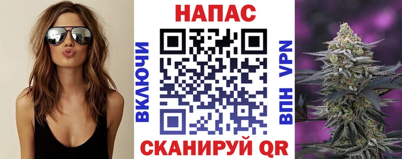 маркетплейс наркотические препараты  Городовиковск  Каннабис гибрид 